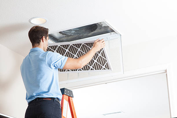 Best Seasonal HVAC Services in Carrollton, AL